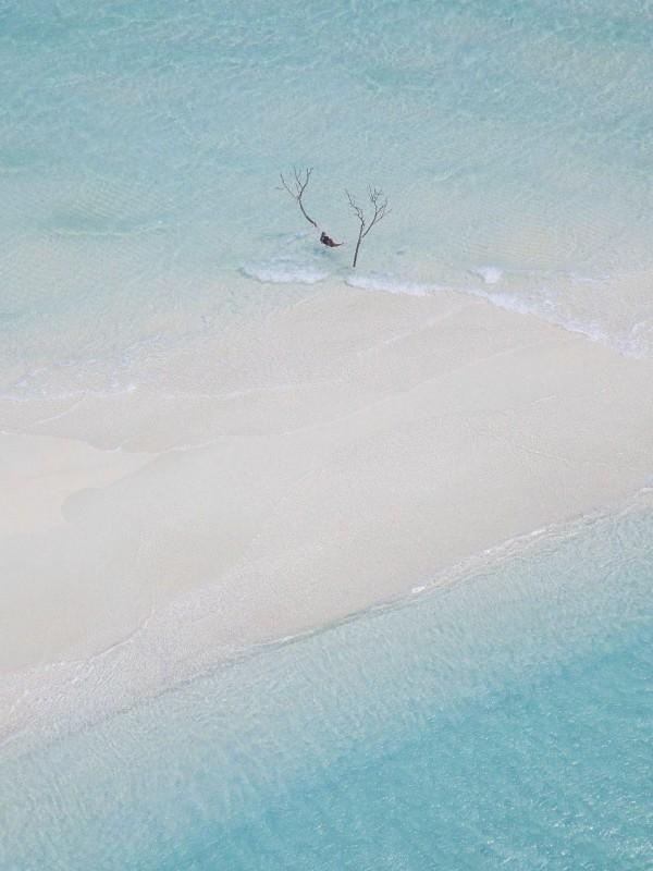 真心错付的伤感图片