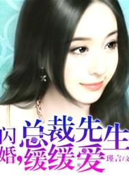 总裁先生缓缓爱 瑾言