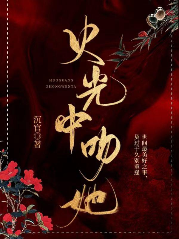 他从火光中走来大结局