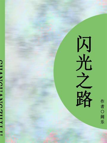 闪光之路（短篇）
